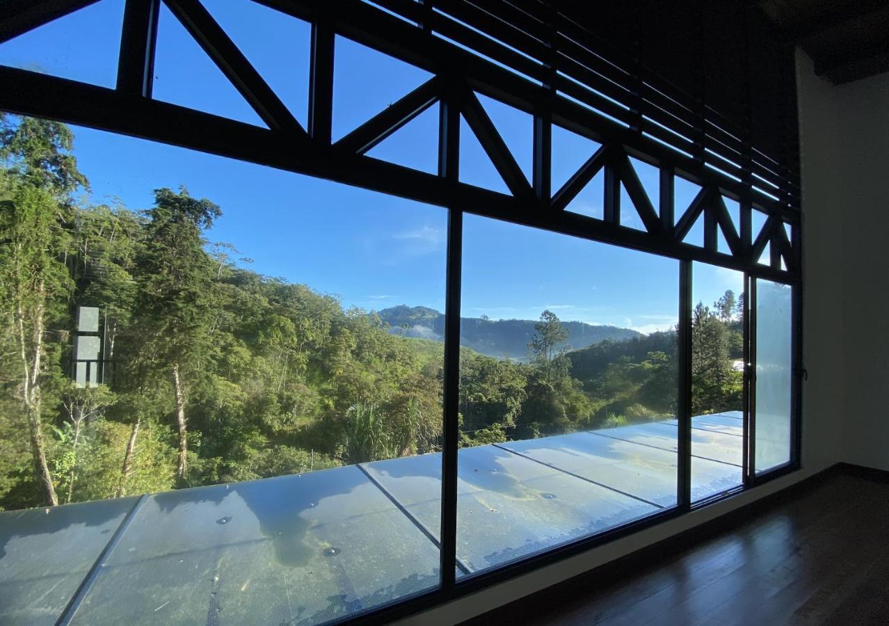 Arte De Plumas Birding Lodge Cartago Exterior photo