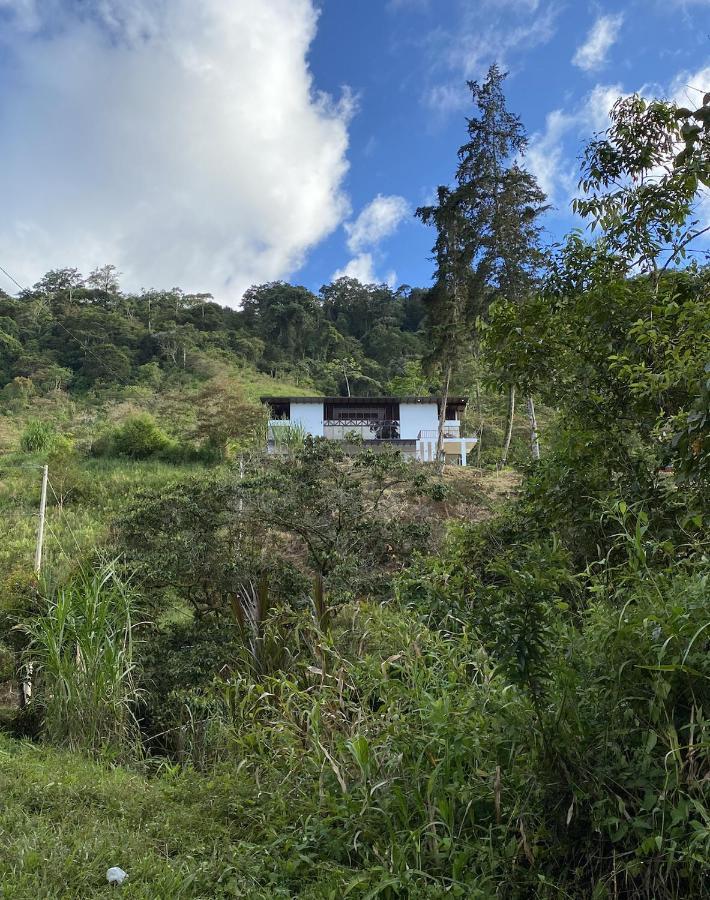 Arte De Plumas Birding Lodge Cartago Exterior photo