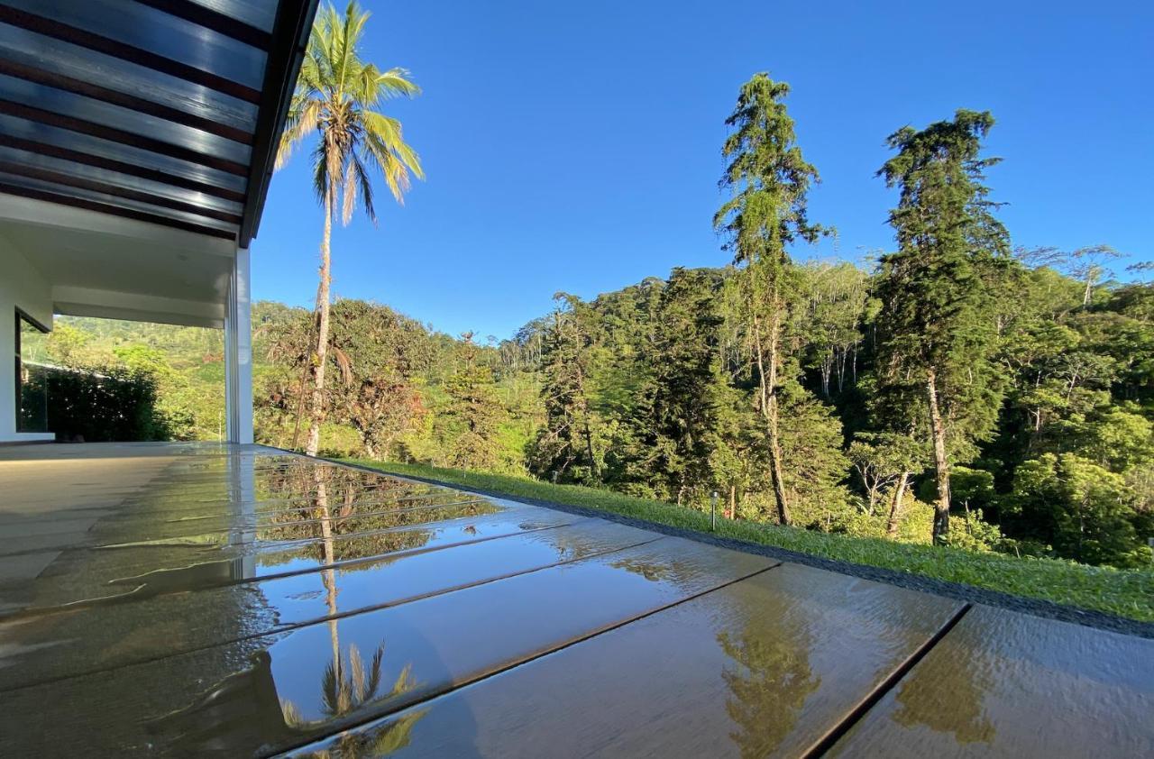 Arte De Plumas Birding Lodge Cartago Exterior photo