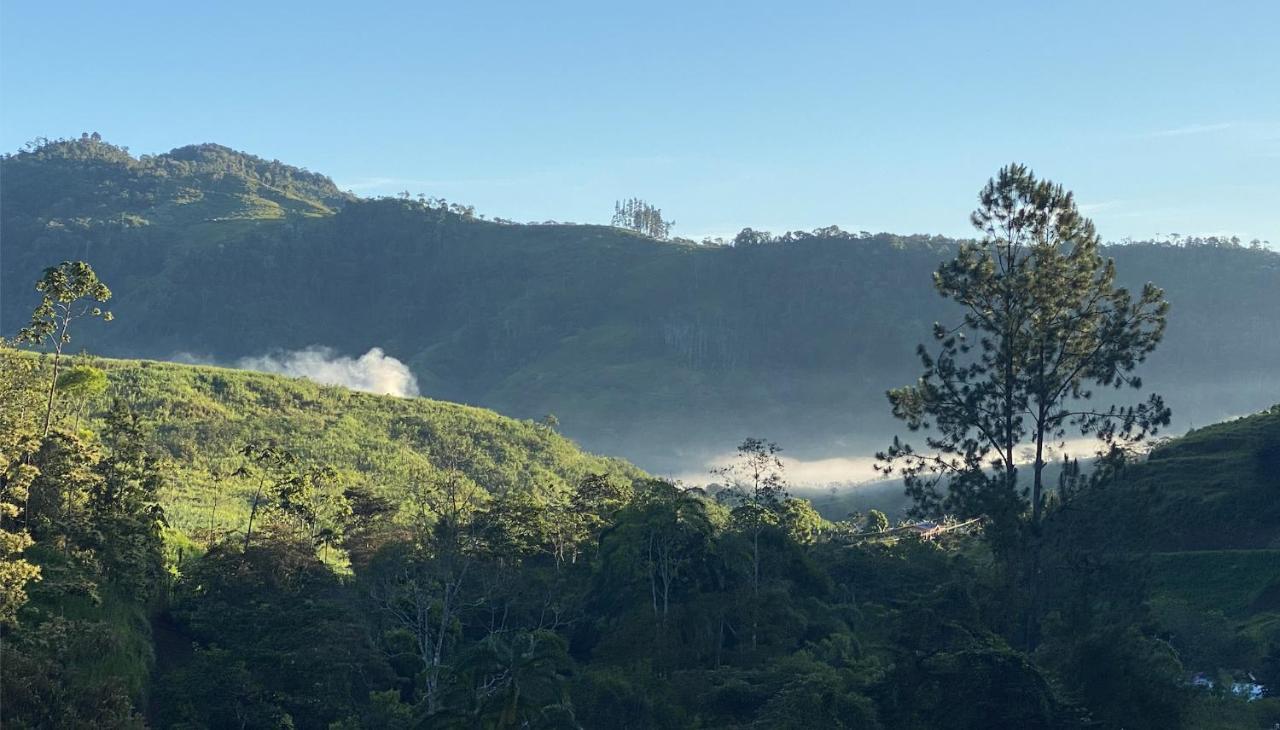 Arte De Plumas Birding Lodge Cartago Exterior photo