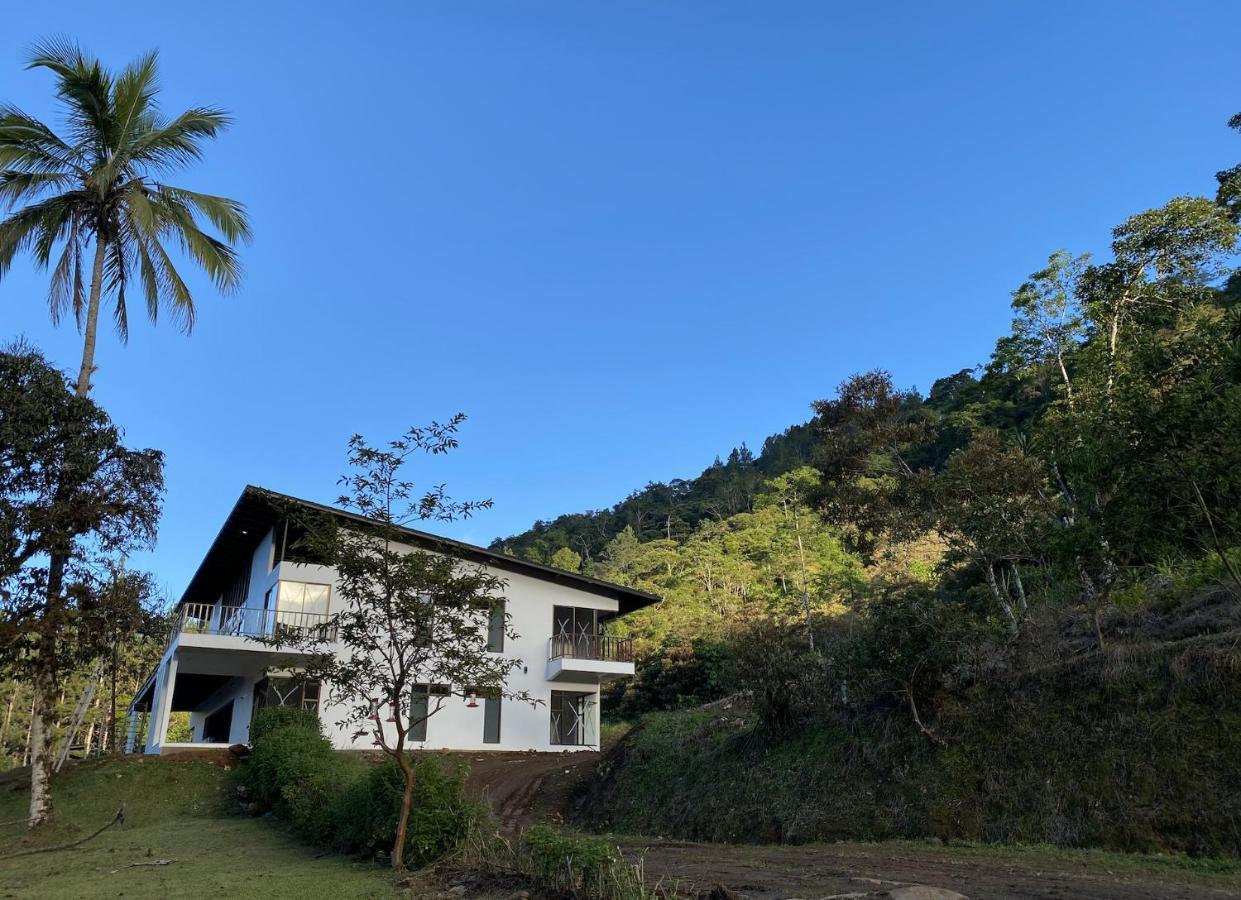 Arte De Plumas Birding Lodge Cartago Exterior photo