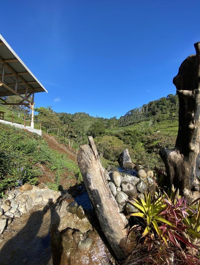Arte De Plumas Birding Lodge Cartago Exterior photo