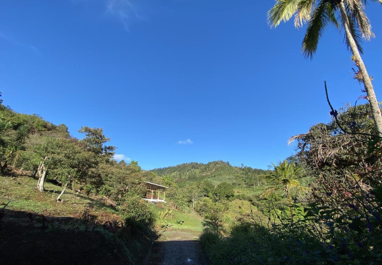 Arte De Plumas Birding Lodge Cartago Exterior photo