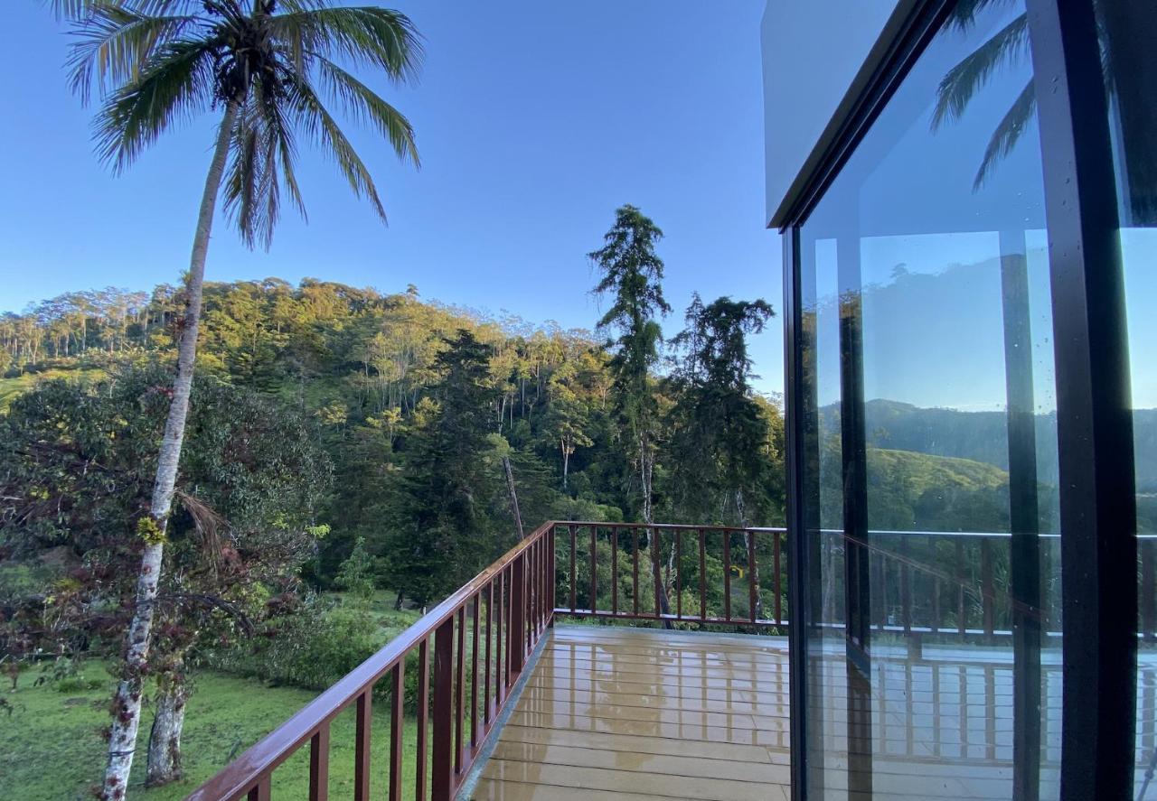 Arte De Plumas Birding Lodge Cartago Exterior photo