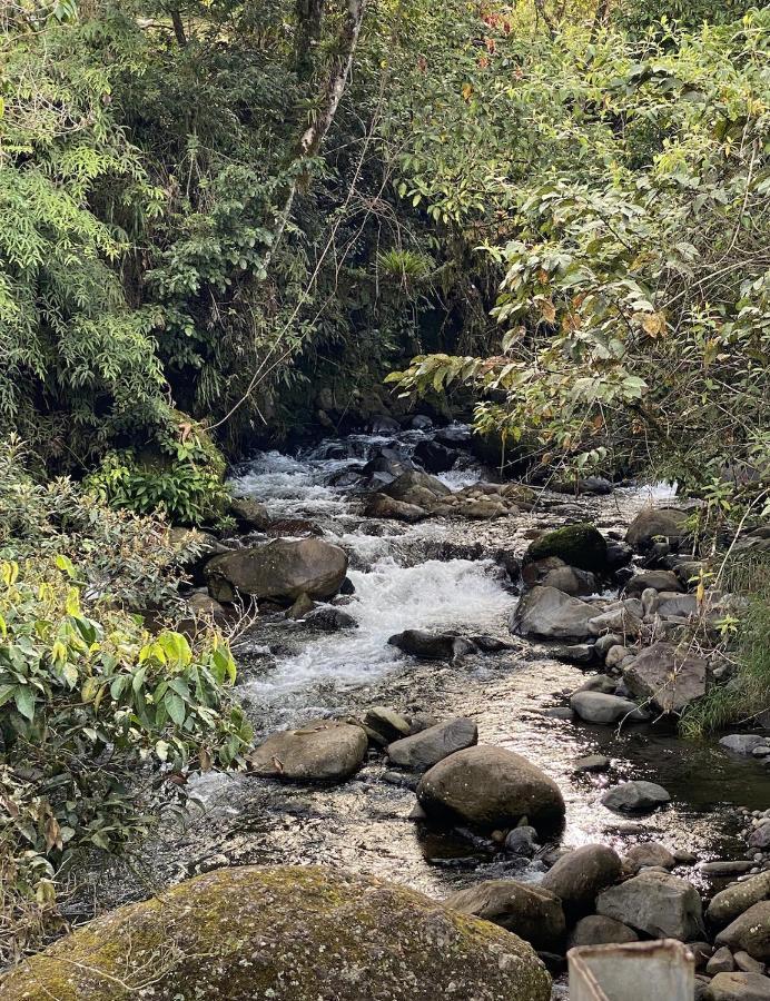 Arte De Plumas Birding Lodge Cartago Exterior photo