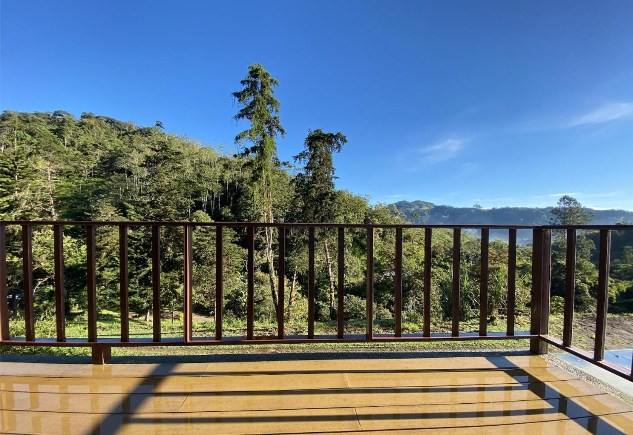 Arte De Plumas Birding Lodge Cartago Exterior photo
