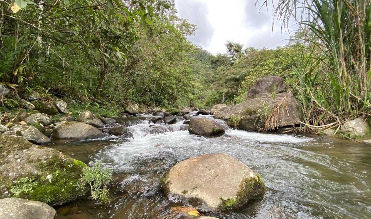 Arte De Plumas Birding Lodge Cartago Exterior photo